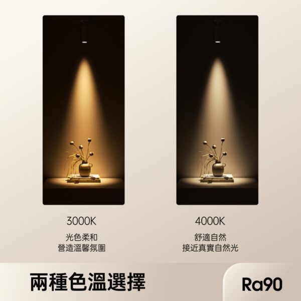 光束角 (2) 窄光束角LED投射軌道燈