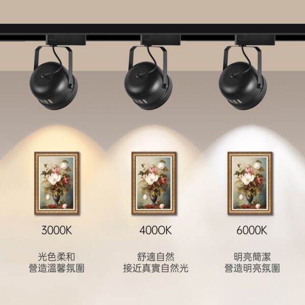 鐵碗 (2) 鐵碗LED軌道燈
