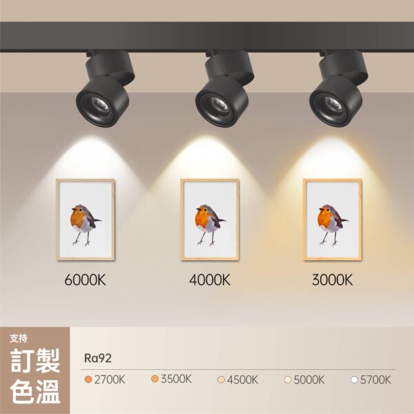 雙圓 (2) 雙圓LED軌道燈