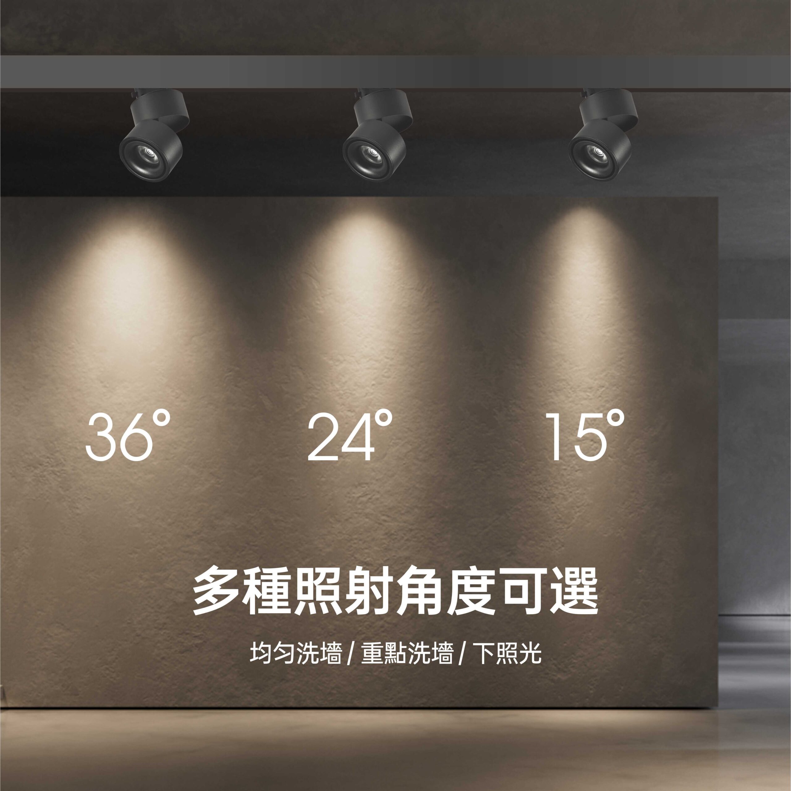 雙圓 (4) 雙圓LED軌道燈