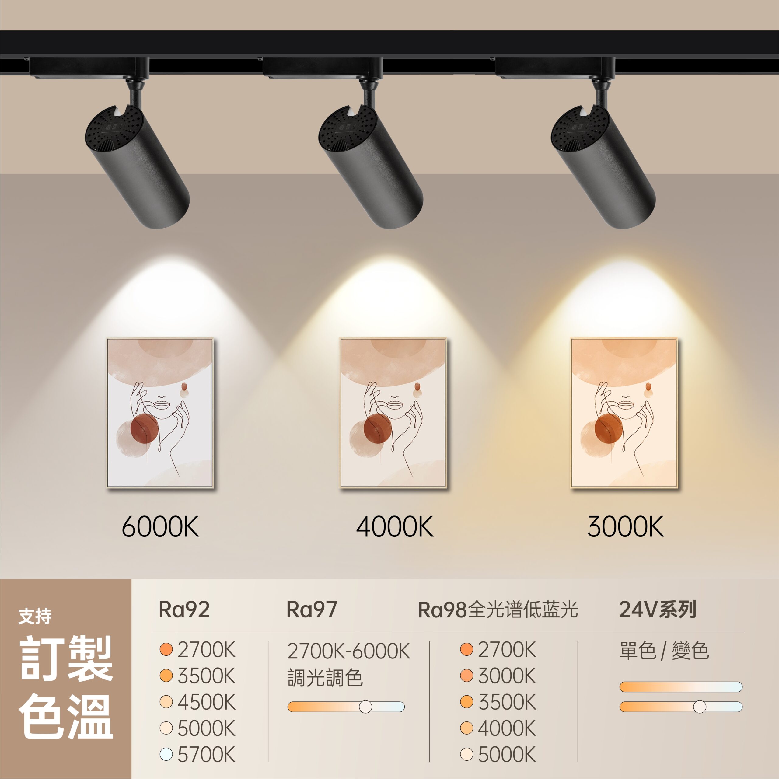 雷米爾LED軌道燈12W