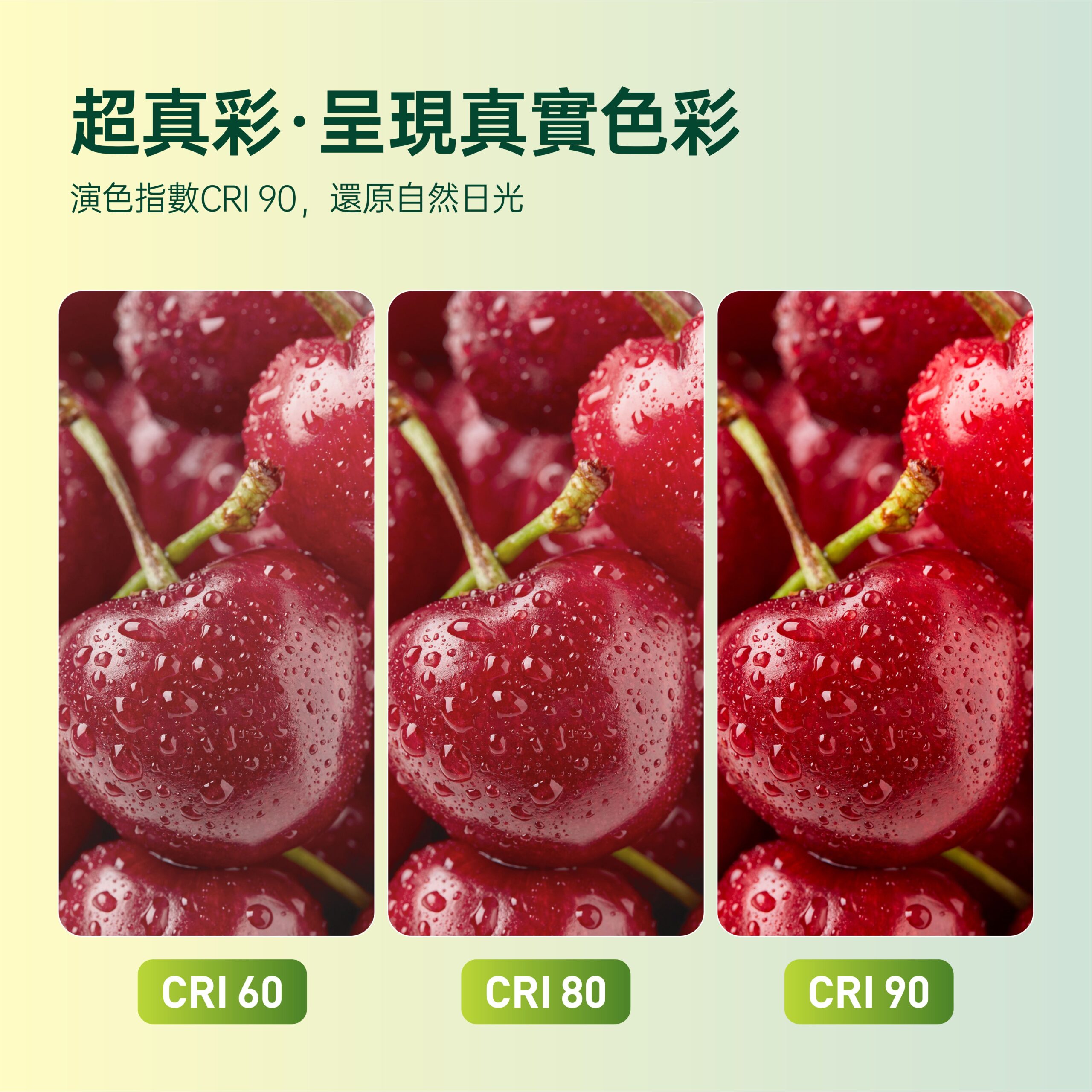 飛利浦 真彩光LED燈泡10.5W