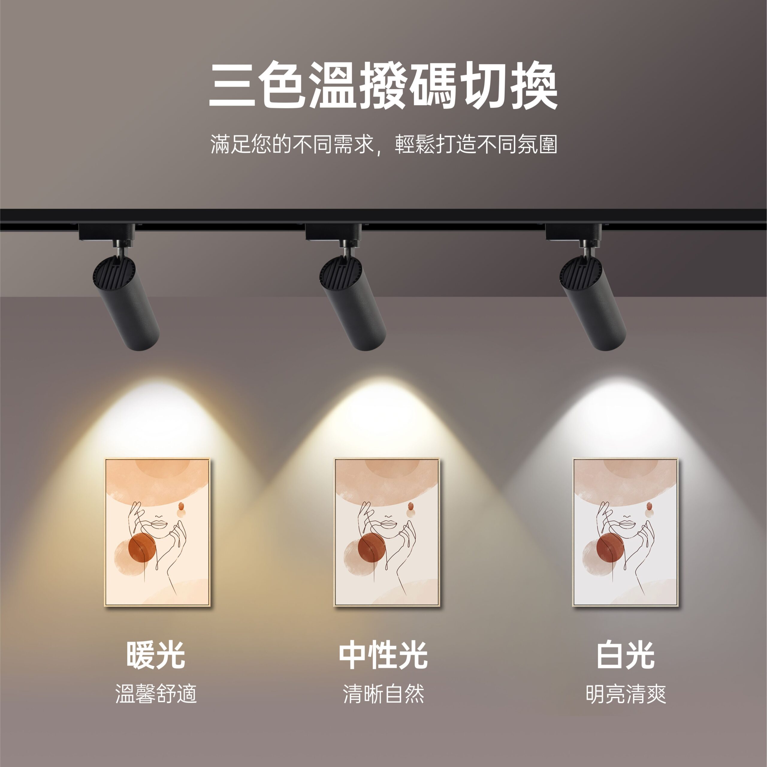 布雷博LED軌道燈12W