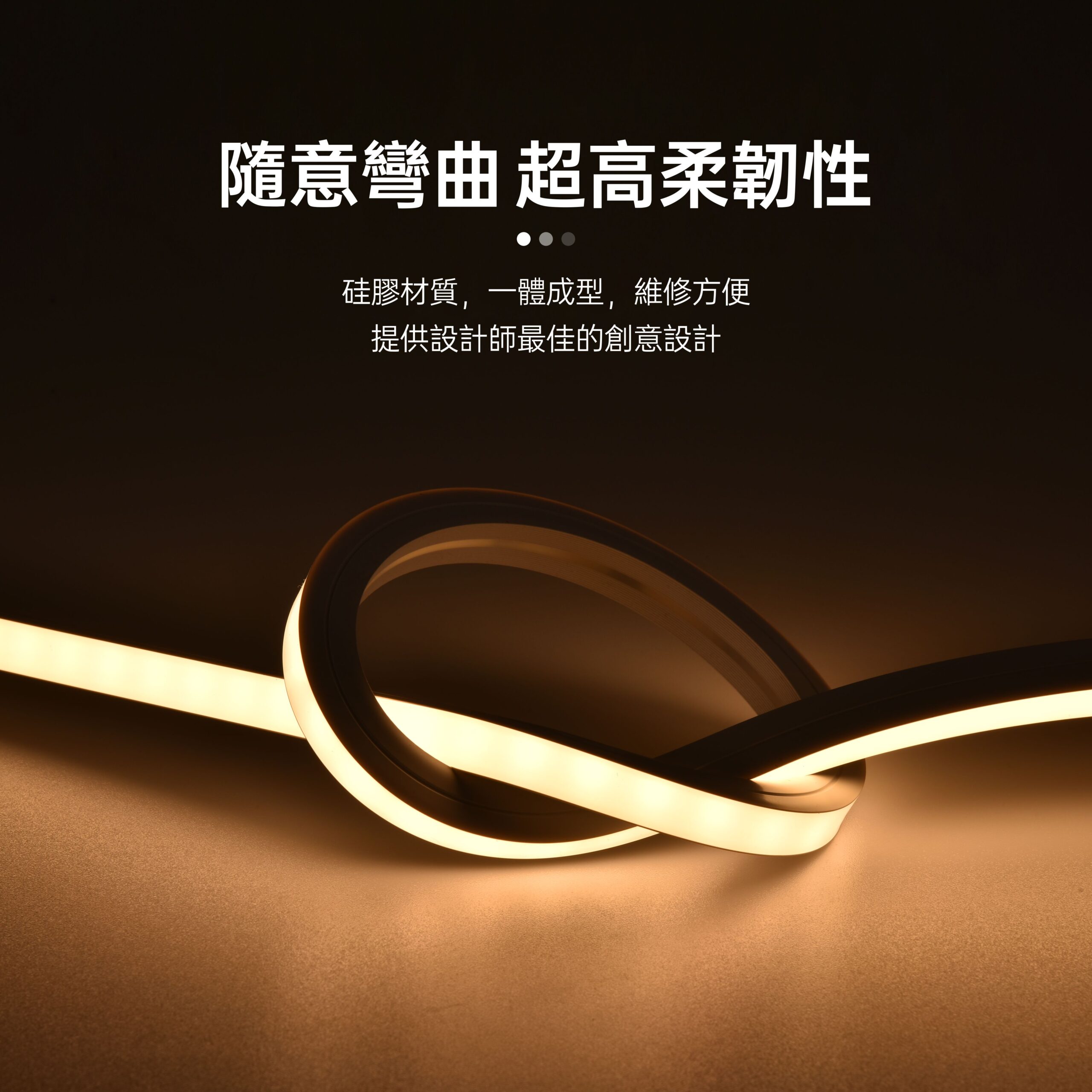 2020柔性矽膠LED燈帶